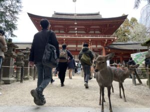 あけましておめでとうございます。